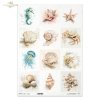 Rice paper R1698L